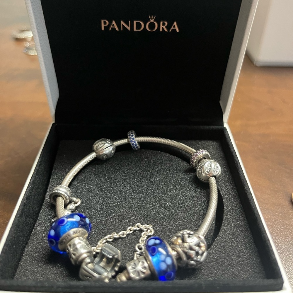 Original Pandora Bracelet with 9 charms.